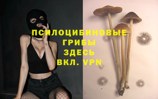 меф Заводоуковск