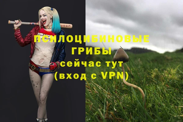 гидропоника Заволжье