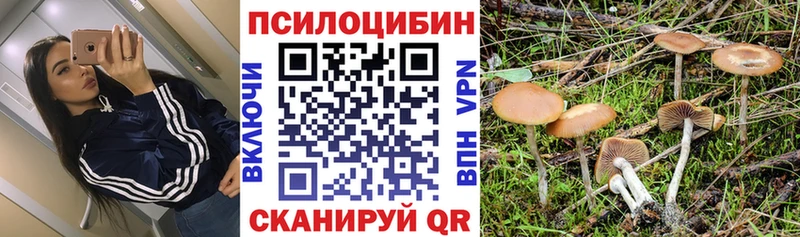 Купить закладки  Ипатово  Галлюциногенные грибы GOLDEN TEACHER 